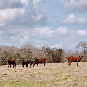 Meet your Posher, Kay